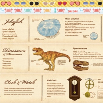 [KAMOI�������ù���]���ޥ����󥰥ơ��ס���mt��EX���꡼����2023��������������MTEX1P221��225