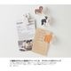[MIDORI���ߥɥ꡿�ǥ�����ե���]��MINIATURE MAGNET CLIP��ߥ˥��奢�ޥ��ͥåȥ���åס䡡4������434��PPC�ѻ���5��Ϥ���롡�ͥ����༧��