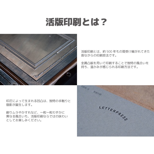 [MIDORIߥɥ꡿ǥե]쥿åȡ