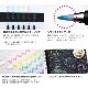[TOMBOW���ȥ�ܱ�ɮ]��ɮʸ��������ڥ�ɮǷ�����ʤ䤫��Ω�ƥѥ��ƥ륫�顼�������������󥯡�WS-BS