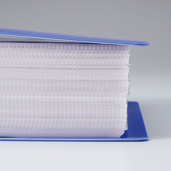 [LIHIT LAB.����ҥȥ��]��REQUEST��ꥯ�����ȡ䡡D����󥰥ե����롡A4��������S���ʥ��Ʒ��ˡ�4�ꡡPPɽ��