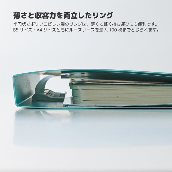 [LIHIT LAB.����ҥȥ��]���ץ��ȥ롼���Х��������2�ꡡN-3120��3121������100����Ʋ�ǽ���������̥�󥰥ե�����