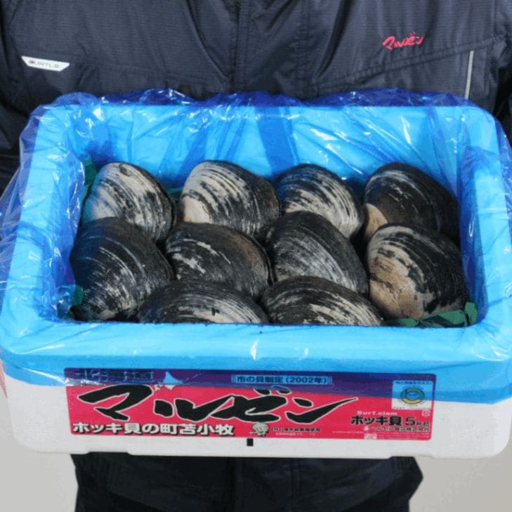 ホッキLサイズ10個セット