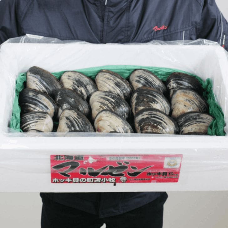 ホッキLサイズ15個セット