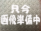 �ӥå�����