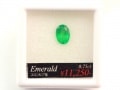 【在庫処分SALE！50％OFF】宝石ルース/コロンビア産エメラルド/オーバルカット/約0.75ct/1粒（ルースケース付）|エメラルド