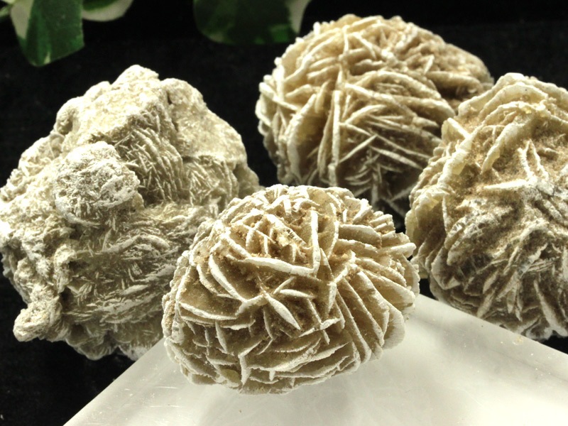 特大✨【知性の石】砂漠の薔薇デザートローズセレナイトラフストーン原石