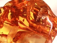 ≪原石祭り20%OFF≫【1点物】激レア！★FAファイナルグレード★極上品！超ビッグサイズ★透明度◎圧縮なしの天然★コロンビア産天然ヤングアンバー（琥珀・こはく/COPAL）ポリッシュ原石/約H107