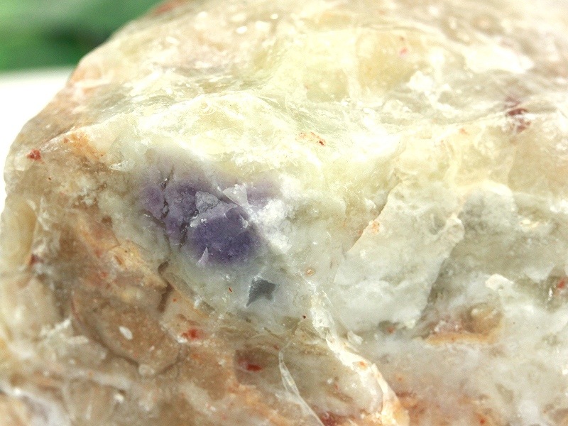 �㸶�кפ�20%OFF���1��ʪ��Ķ�쥢���ȡ��󡪡����������з��������뾽��USA�楿���ȡ��ޥ���̮����ŷ����/�ƥ��ե��ˡ����ȡ���ʥ��ѥ饤���ɡ��ե����饤�ȡ�/��ո���/222g/1�ġڥͥ��ݥ��Բġۡڥ���ꥫ�ġ����󡦹��Ÿ�����������Ͻ�Ÿ���㤤�դ���