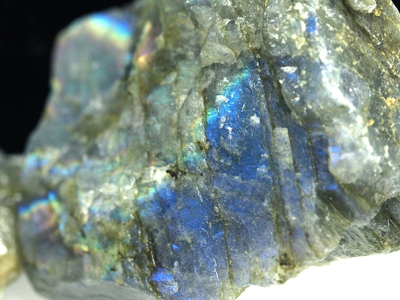 �㸶�кפ�20%OFF������쥢��������Ū�ʥ��顼���̡�̥�Ǥε����������С�ŷ����/A/��֥�ɥ饤��/����/281-300g/1�ġڥͥ��ݥ��Բġۡ�ŷ����/�ѥ���ȡ���ۡڥ���ꥫ�ġ����󡦹��Ÿ�����������Ͻ�Ÿ���㤤�դ���