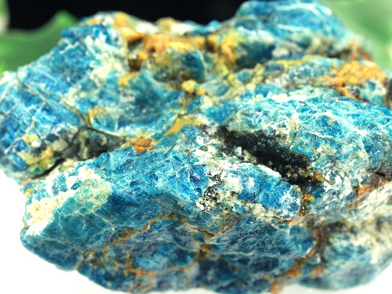 �㸶�кפ�20%OFF���1��ʪ�۶˾�쥢�������Ϥι�ȯ���֥롼��嫤򶯤���С�ŷ����/���ѥ�����(�ճ���)/����/543g�ڥͥ��ݥ��Բġۡ�ŷ����/�ѥ���ȡ���ۡڥ���ꥫ�ġ����󡦹��Ÿ�����������Ͻ�Ÿ���㤤�դ���