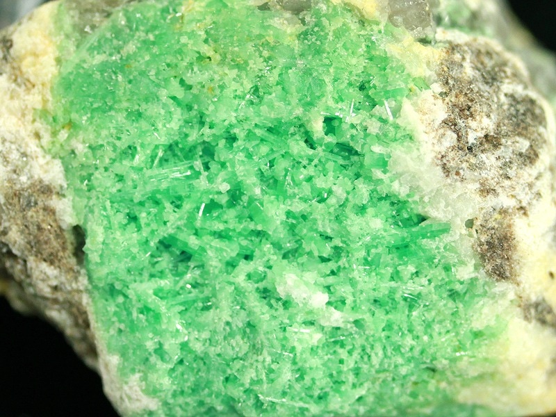 �㸶�кפ�20%OFF���1����Ρ۴������쥯�����������ƥࡪ�����䤫�ʥ��꡼�󥫥顼/̩���뾽�������������С�ŷ������/������ɸ���/313g/1�ġڥͥ��ݥ��Բġۡ�ŷ����/�ѥ���ȡ���ۡڥ���ꥫ�ġ����󡦹��Ÿ�����������Ͻ�Ÿ���㤤�դ���