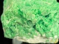 ≪原石祭り20%OFF≫【1点もの】希少コレクターズアイテム！★鮮やかなグリーンカラー/密集結晶★世界四大宝石★天然原石/エメラルド原石/338g/1個【ネコポス不可】【天然石/パワーストーン】【アメ