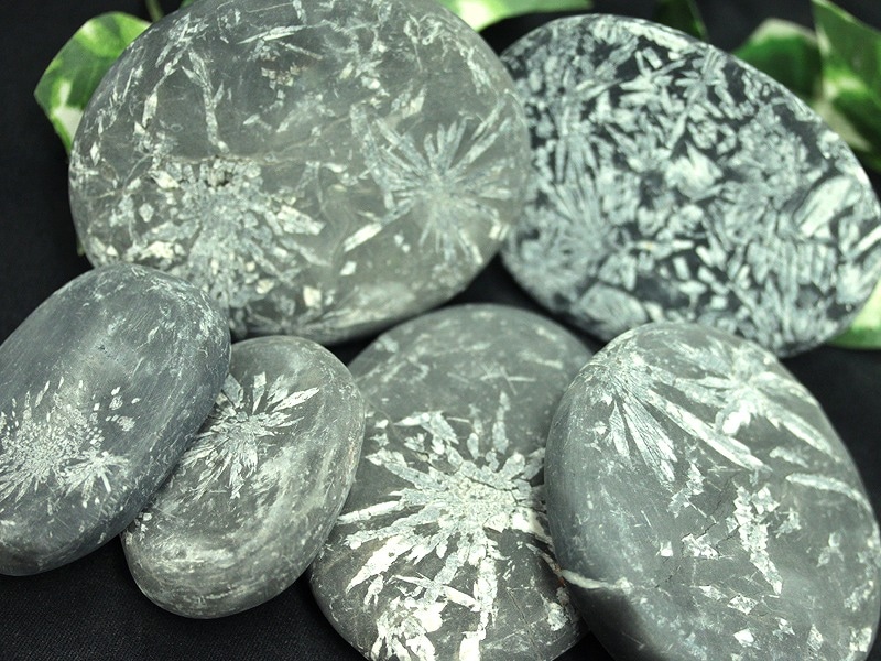 超希少！限定入荷☆鑑賞石の最高峰！☆菊の花が咲く神秘の石☆湖北省産