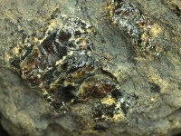 ≪原石祭り20%OFF≫【一点物】迫力のビッグサイズ★激レア希少！上質な輝き★浄化やインテリアに！★スマトラ島産/琥珀（ヤングアンバー）/COPAL/ラフ原石/約811g/1個【天然石/パワーストーン