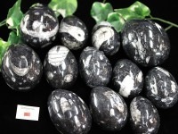 ≪原石祭り20%OFF≫【USAツーソンミネラルショー商品】限定入荷！★くっきり内部構造★人気の古代生物化石！★モロッコ産★天然化石/直角貝/エッグタイプ（卵型）/Mサイズ/1個【ネコポス不可】【天然