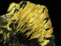 ≪原石祭り20%OFF≫【USAツーソンミネラルショー商品】1点物！★超プレミア希少鉱物！★コレクター垂涎！鉱物標本★剥き出しの金針結晶★ブラジル産★天然原石/タイチン太陽ゴールドルチル原石結晶（太針