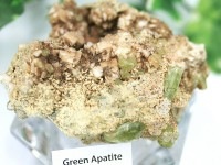 ≪原石祭り20%OFF≫【USAツーソンミネラルショー商品】1点物！希少カラー！★美麗！柱状結晶★透明度◎★人気の鉱物★モロッコ産★天然原石/グリーンアパタイト(燐灰石/Apatite)/約151g/