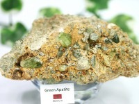 ≪原石祭り20%OFF≫【USAツーソンミネラルショー商品】1点物！希少カラー！★美麗！柱状結晶★透明度◎★人気の鉱物★モロッコ産★天然原石/グリーンアパタイト(燐灰石/Apatite)/約490g/