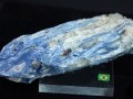 㸶кפ30%OFFUSAġߥͥ륷硼ʡ1ʪϥ뾽䤫ʥ֥롼֥饸뻺ŷ/ʥȸ(Kyanite/)/855g/1ġŷ/ѥȡ