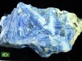 㸶кפ30%OFFUSAġߥͥ륷硼ʡ1ʪϥ뾽䤫ʥ֥롼֥饸뻺ŷ/ʥȸ(Kyanite/)/1125g/1ġŷ/ѥȡ