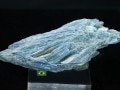 㸶кפ30%OFFUSAġߥͥ륷硼ʡ1ʪĶ뾽ѥ饤Х顼֥饸뻺ŷ/ѥ饤Хʥȸ(Paraiba Kyanite/)/639g/1ġŷ/ѥȡ