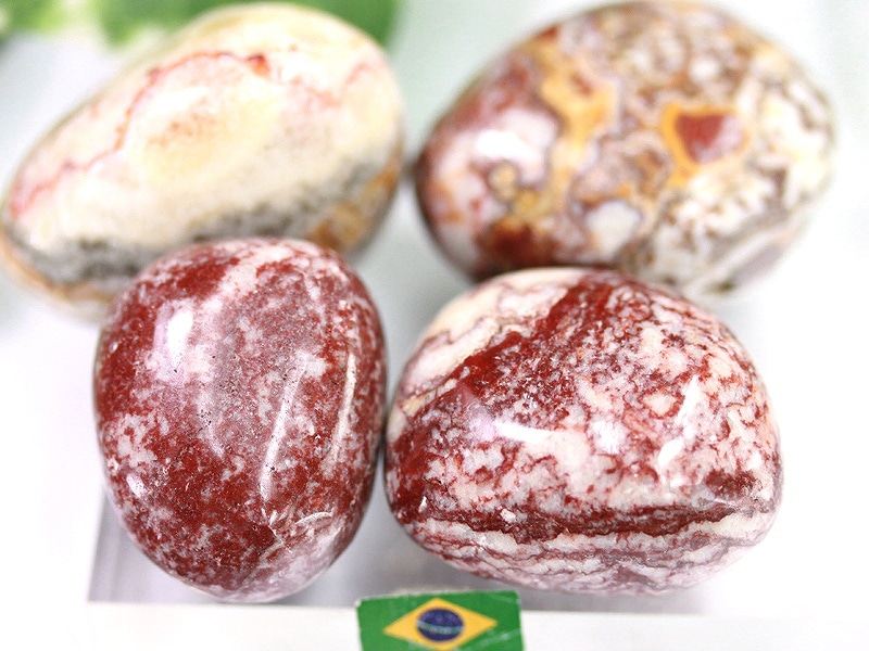 ¡ÚUSA¥Ä¡¼¥½¥ó¥ß¥Í¥é¥ë¥·¥ç¡¼¾¦ÉÊ¡ÛÁÇËѤʿ§¹ç¤¤¡ú¥Ö¥é¥¸¥ë»º¡úÅ·Á³ÀÐ/¥¿¥ó¥Ö¥ë¡Ê¤ª¼é¤êÀС¦°®¤êÀС¦Ëá¤ÀСË/¥¯¥ì¥¤¥¸¡¼¥¸¥ã¥¹¥Ñ¡¼¡ÊÊ˶Ì/jasper¡Ë/1¸Ä¡Ú¥Í¥³¥Ý¥¹ÉԲġۡÚÅ·Á³ÀÐ/¥Ñ¥ï¡¼¥¹¥È¡¼¥ó¡Û