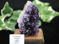 ��USA�ġ�����ߥͥ�륷�硼���ʡ�1��ʪ���������������������Ĺ��ʼ�����ȯ�������륰������������դ���ŷ����/���᥸����(amethyst/��徽)���Х��饹����/��119g/1�ġڥͥ��ݥ��Բġۡ�ŷ����/�ѥ���ȡ����