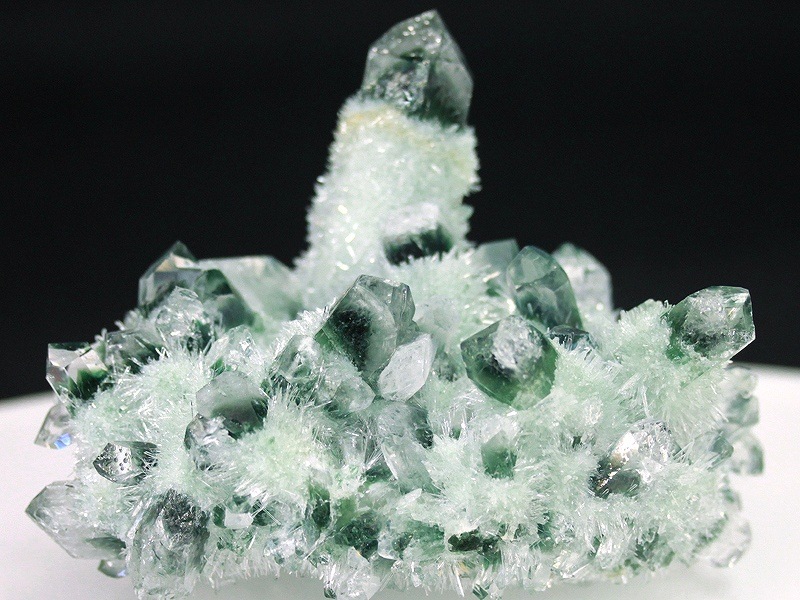 超レアスティブナイトファントムルース