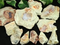 ≪原石祭り20%OFF≫【USAツーソンミネラルショー商品】レア！希少な母岩付き★希望と幸運の石★メキシコ産★天然原石/ホワイトオパール(蛋白石/欧泊/white Opal)/クリアタイプ/41-60