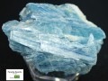 㸶кפ30%OFFUSAġߥͥ륷硼ʡ1ʪĶ뾽ѥ饤Х顼֥饸뻺ŷ/ѥ饤Хʥȸ(Paraiba Kyanite/)/223g/1ġŷ/ѥȡ