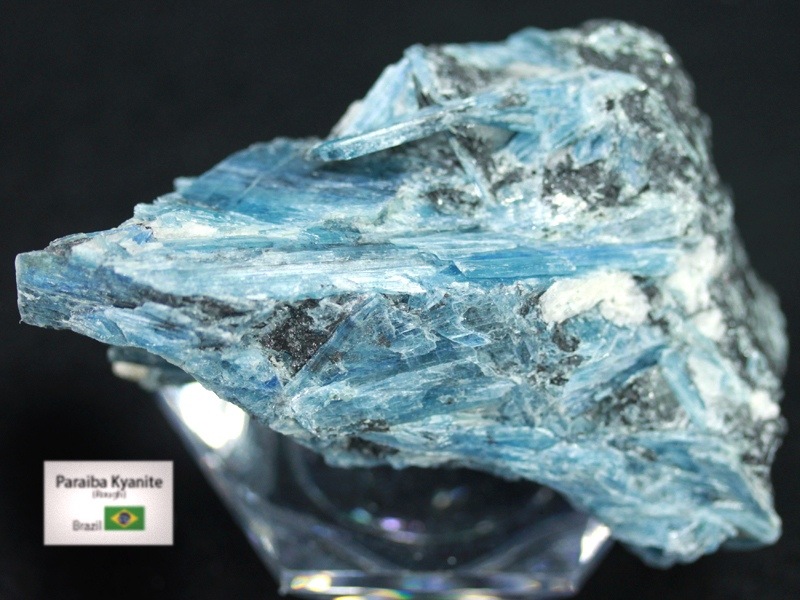 �㸶�кפ�30%OFF���USA�ġ�����ߥͥ�륷�硼���ʡ�1��ʪ��Ķ�������������뾽�ѥ饤�Х��顼���֥饸�뻺��ŷ������/�ѥ饤�Х�����ʥ��ȸ���(Paraiba Kyanite/������)/��338g/1�ġ�ŷ����/�ѥ���ȡ����