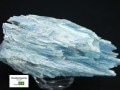 㸶кפ30%OFFUSAġߥͥ륷硼ʡ1ʪĶ뾽ѥ饤Х顼֥饸뻺ŷ/ѥ饤Хʥȸ(Paraiba Kyanite/)/483g/1ġŷ/ѥȡ