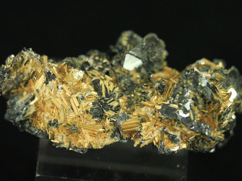 ¢ã¸¶Àкפê20%OFF¢ä¡ÚUSA¥Ä¡¼¥½¥ó¥ß¥Í¥é¥ë¥·¥ç¡¼¾¦ÉÊ¡Û1ÅÀʪ¡ª¡úĶ¥×¥ì¥ß¥¢´õ¾¯¹Ûʪ¡ª¡ú¥³¥ì¥¯¥¿¡¼¿âÞ·¡ª¹ÛʪɸËÜ¡úÇí¤½Ð¤·¤Î¶â¿Ë·ë¾½¡ú¥Ö¥é¥¸¥ë»º¡úÅ·Á³¸¶ÀÐ/¥¿¥¤¥Á¥óÂÀÍÛ¥´¡¼¥ë¥É¥ë¥Á¥ë¸¶Àз뾽¡ÊÂÀ¿Ë¶â¹ÈÀÐ/Êü¼Í¥ë¥Á¥ë)/Ìó14.1g/1¸Ä¡ÚÅ·Á³ÀÐ/¥Ñ¥ï¡¼¥¹¥È¡¼¥ó¡Û