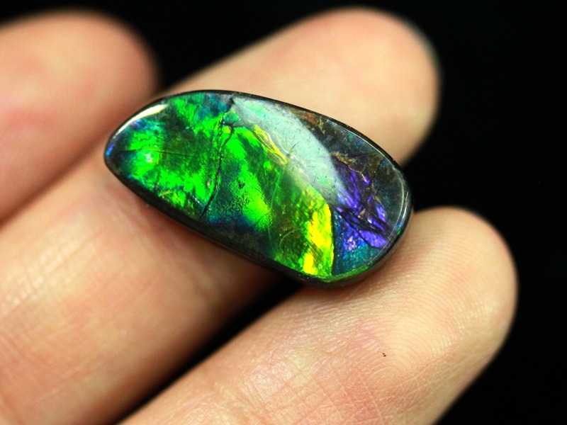 カナダ産 アンモライト 和名(菊石) 3.6g アンモナイト ブルー USAツーソンミネラルショー商品超激レア！虹色に輝くイリデッセンス