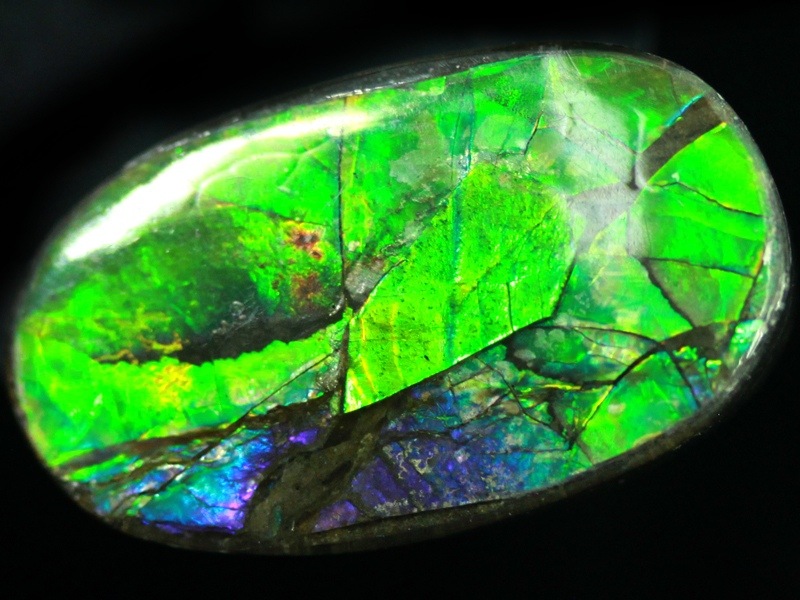 【古憶】★最高品質★アンモライト鮮やかな色 宝石 3色 化石 裸石 カナダ産 パワーストーン 強力エネルギー 1ct/3# 太古の海が遺した奇跡の宝石・アンモライト｜悠久の時に育まれた虹色の