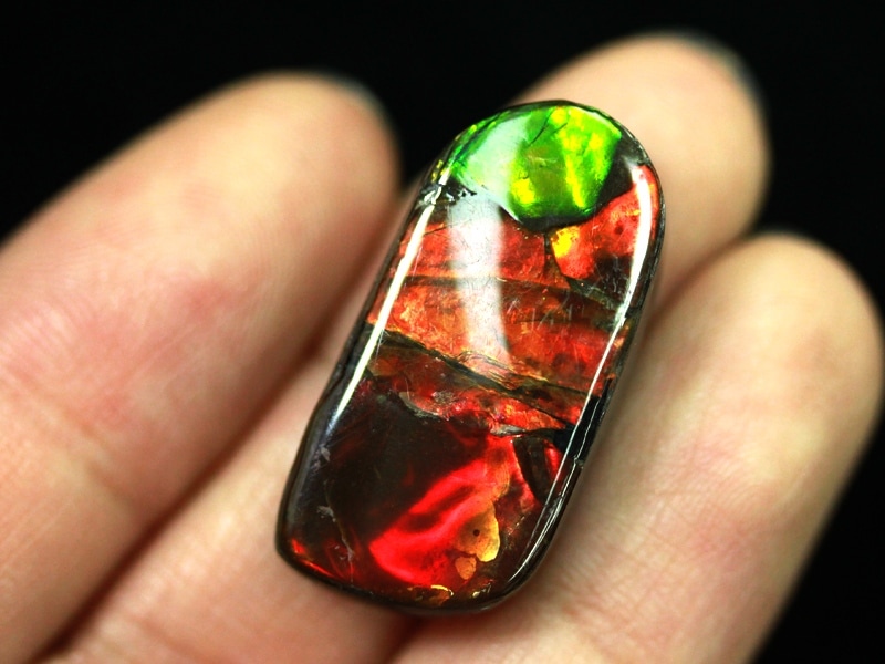 カナダ産 アンモライト 和名(菊石) 3.6g アンモナイト ブルー USAツーソンミネラルショー商品超激レア！虹色に輝くイリデッセンス