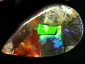 USAġߥͥ륷硼ʡĶ쥢˵ǥå󥹡ʥȲС7000ǯδסʥ/Х롼С/饤ȡAmmolite/)/6.9g/1ġŷ/ѥȡ