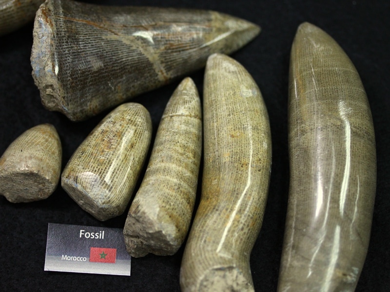 オーロラ クォーツ クリアクォーツ 恐竜 クリアクォーツ オーロラ