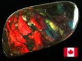 USAġߥͥ륷硼ʡĶ쥢˵ǥå󥹡ʥȲС7000ǯδסʥ/Х롼С/饤ȡAmmolite/)/5.9g/1ġŷ/ѥȡ