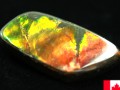 USAġߥͥ륷硼ʡĶ쥢˵ǥå󥹡ʥȲС7000ǯδסʥ/Х롼С/饤ȡAmmolite/)/4.9g/1ġŷ/ѥȡ