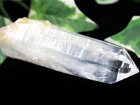 【USAツーソンミネラルショー商品】1点物★古代レムリア人の叡智★刻まれたシード★コロンビア産★天然原石/コロンビアンレムリアンシードクォーツ(レムリアン水晶/Colombian Lemurian)/
