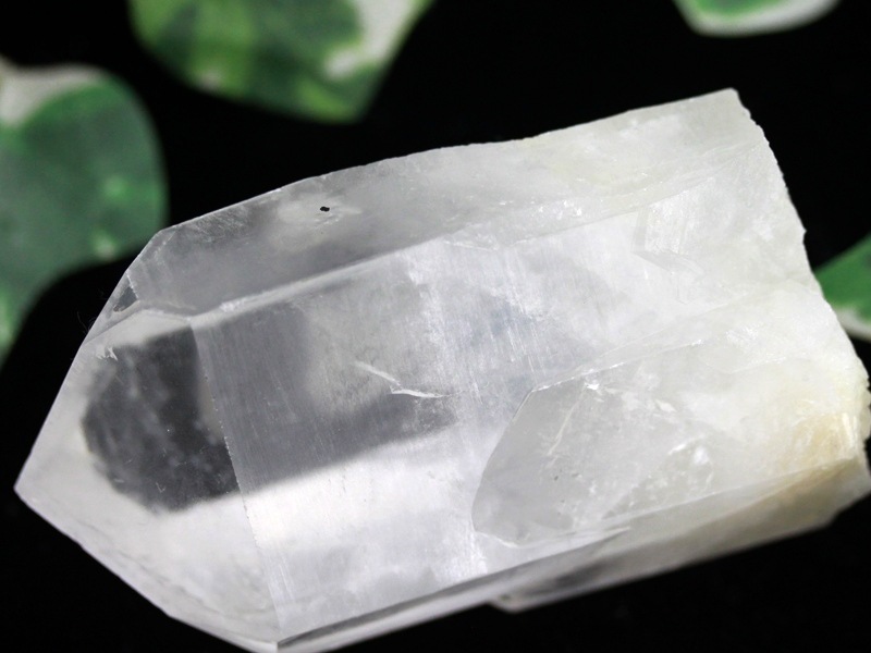 ��USA�ġ�����ߥͥ�륷�硼���ʡ�1��ʪ��������ꥢ�ͤα��ҡ���ޤ줿�����ɡ�������ӥ�����ŷ������/������ӥ�����ꥢ�󥷡��ɥ�������(���ꥢ��徽/Colombian Lemurian)/��166g/1�ġڥͥ��ݥ��Բġۡ�ŷ����/�ѥ���ȡ����