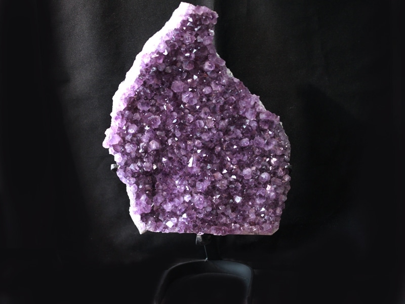 �㸶�кפ�30%OFF���USA�ġ�����ߥͥ�륷�硼���ʡ�1��ʪ����쥢��Ķ���祵��������ȯ���������륰��������ŷ������/���᥸���ȥɡ���(��徽/Amethyst)/��8.6k��/1�ġڥ᡼�����Բġۡ�ŷ����/�ѥ���ȡ����