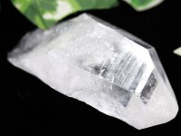 【USAツーソンミネラルショー商品】1点物★古代レムリア人の叡智★刻まれたシード★コロンビア産★天然原石/コロンビアンレムリアンシードクォーツ(レムリアン水晶/Colombian Lemurian)/