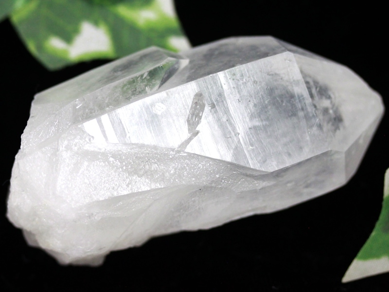 ¡ÚUSA¥Ä¡¼¥½¥ó¥ß¥Í¥é¥ë¥·¥ç¡¼¾¦ÉÊ¡Û1ÅÀʪ¡ú¸ÅÂå¥ì¥à¥ê¥¢¿Í¤Î±ÃÃÒ¡ú¹ï¤Þ¤ì¤¿¥·¡¼¥É¡ú¥Ð¡¼¥Ê¥¯¥ë¡ú¥³¥í¥ó¥Ó¥¢»º¡úÅ·Á³¸¶ÀÐ/¥³¥í¥ó¥Ó¥¢¥ó¥ì¥à¥ê¥¢¥ó¥·¡¼¥É¥¯¥©¡¼¥Ä(¥ì¥à¥ê¥¢¥ó¿å¾½/Colombian Lemurian)/Ìó129g/1¸Ä¡Ú¥Í¥³¥Ý¥¹ÉԲġۡÚÅ·Á³ÀÐ/¥Ñ¥ï¡¼¥¹¥È¡¼¥ó¡Û