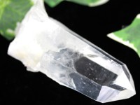 【USAツーソンミネラルショー商品】1点物★古代レムリア人の叡智★刻まれたシード★バーナクル★コロンビア産★天然原石/コロンビアンレムリアンシードクォーツ(レムリアン水晶/Colombian Lemu