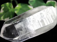 【USAツーソンミネラルショー商品】1点物★古代レムリア人の叡智★刻まれたシード★レコードキーパー★コロンビア産★天然原石/コロンビアンレムリアンシードクォーツ(レムリアン水晶/Colombian L