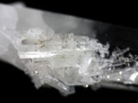 【USAツーソンミネラルショー商品】1点物★古代レムリア人の叡智★刻まれたシード★バーナクル★コロンビア産★天然原石/コロンビアンレムリアンシードクォーツ(レムリアン水晶/Colombian Lemu