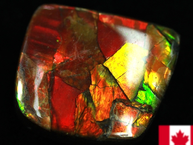 超激レア！虹色に輝くイリデッセンス☆アンモナイト化石宝石☆7000万年  